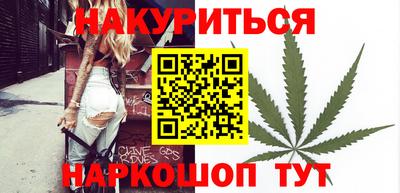 прущие грибы Усть-Илимск