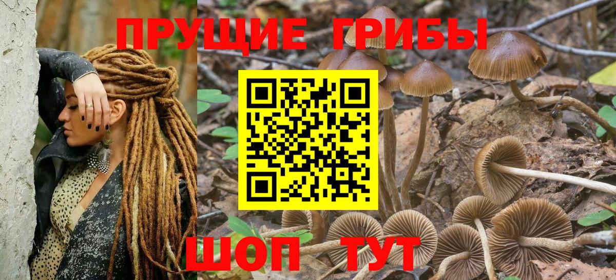 Псилоцибиновые грибы MAGIC MUSHROOMS Холмск
