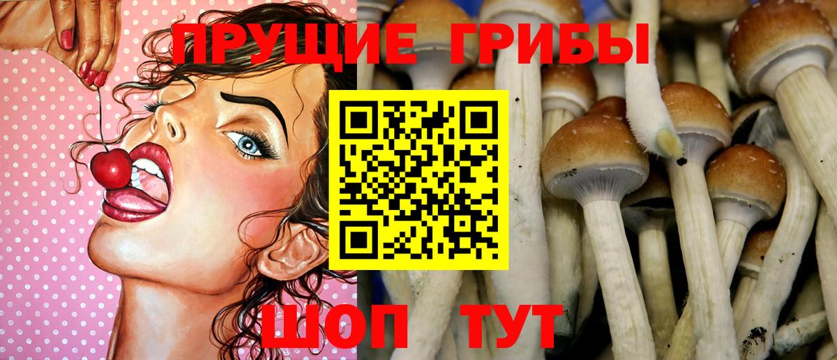 Холмск  Псилоцибиновые грибы GOLDEN TEACHER  как найти   Вход с VPN 
